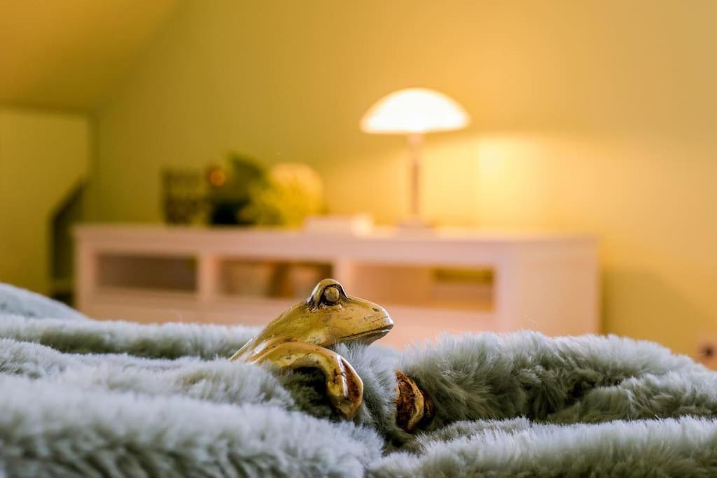 Charmante, Grosszuegige Ferienwohnung Villa Fleurie Bretten Εξωτερικό φωτογραφία
